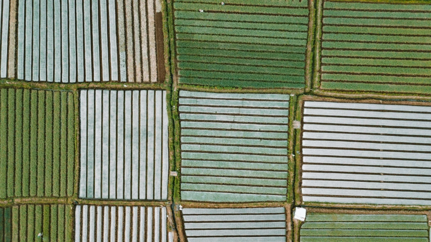 a large group of farm fields that are different colors