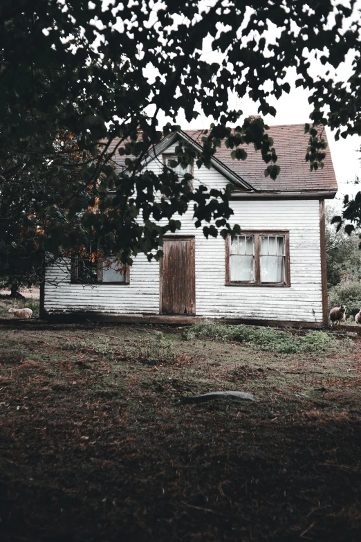an old wooden home sits on the grass