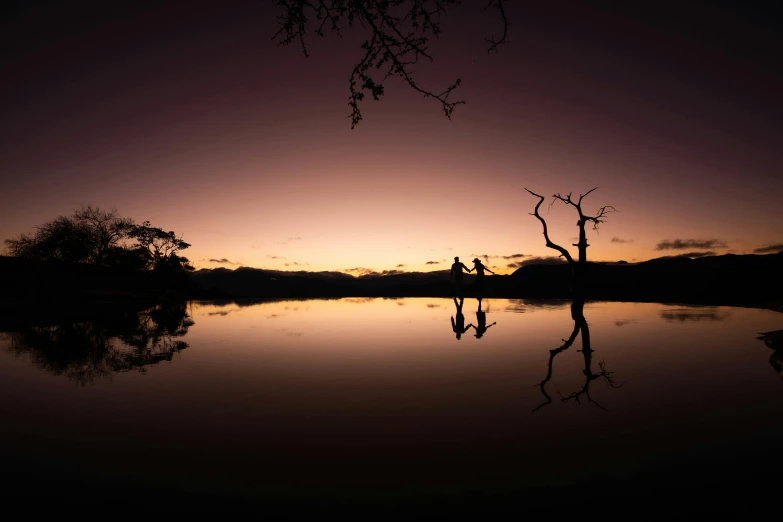 the silhouette of two trees are shown in the background at sunset