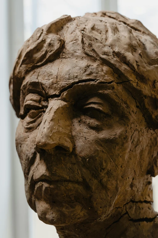 the face and nose of a statue