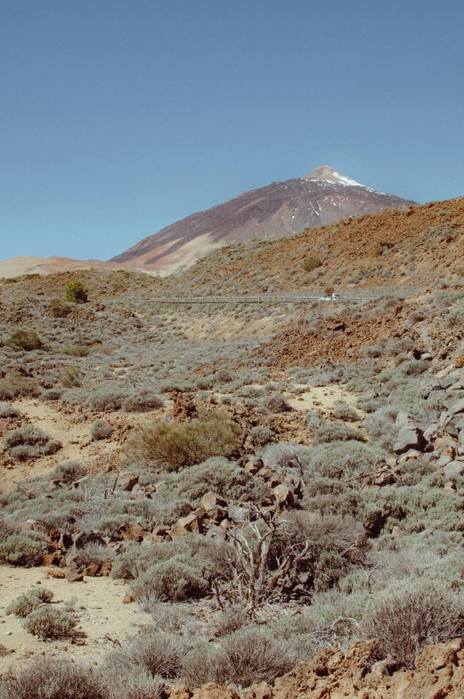 a large mountain has vegetation in it