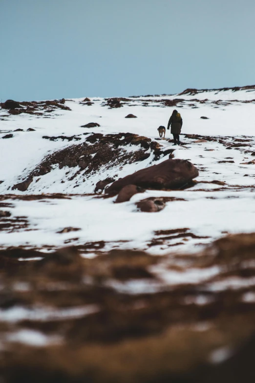 the mountain has a person on it with their dog