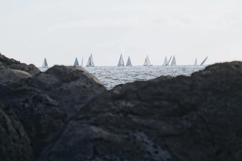 many sail boats sailing in the ocean on a clear day