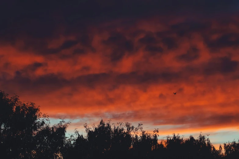 a very colorful sunset with some very big clouds