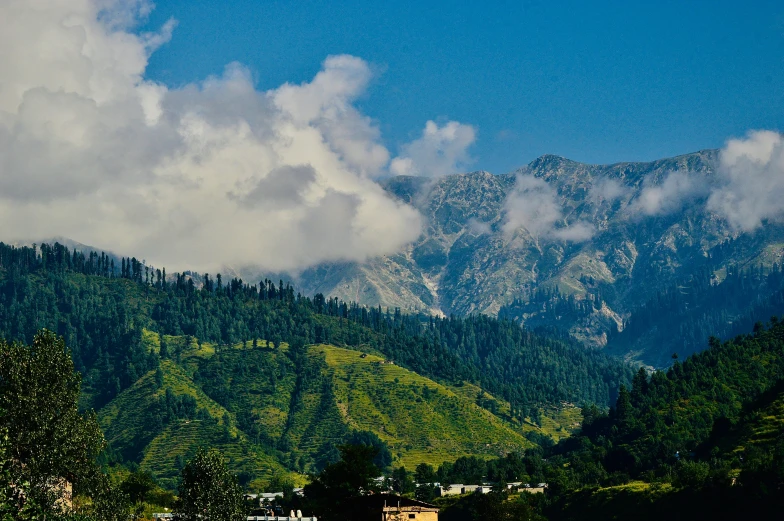 green trees and mountains in the background