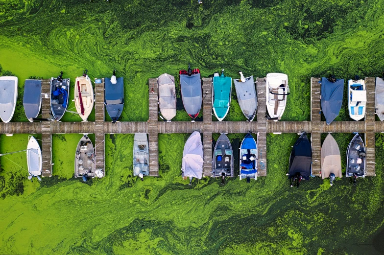 a number of boats parked next to each other