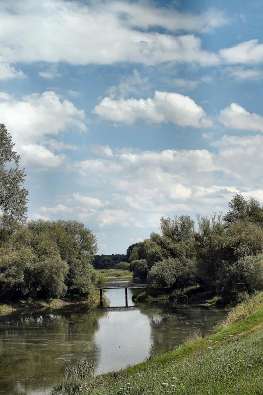 the sky is blue and a group of trees line the bank