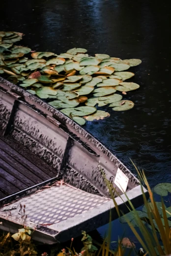 the empty rowboat has lily pads floating on it's water