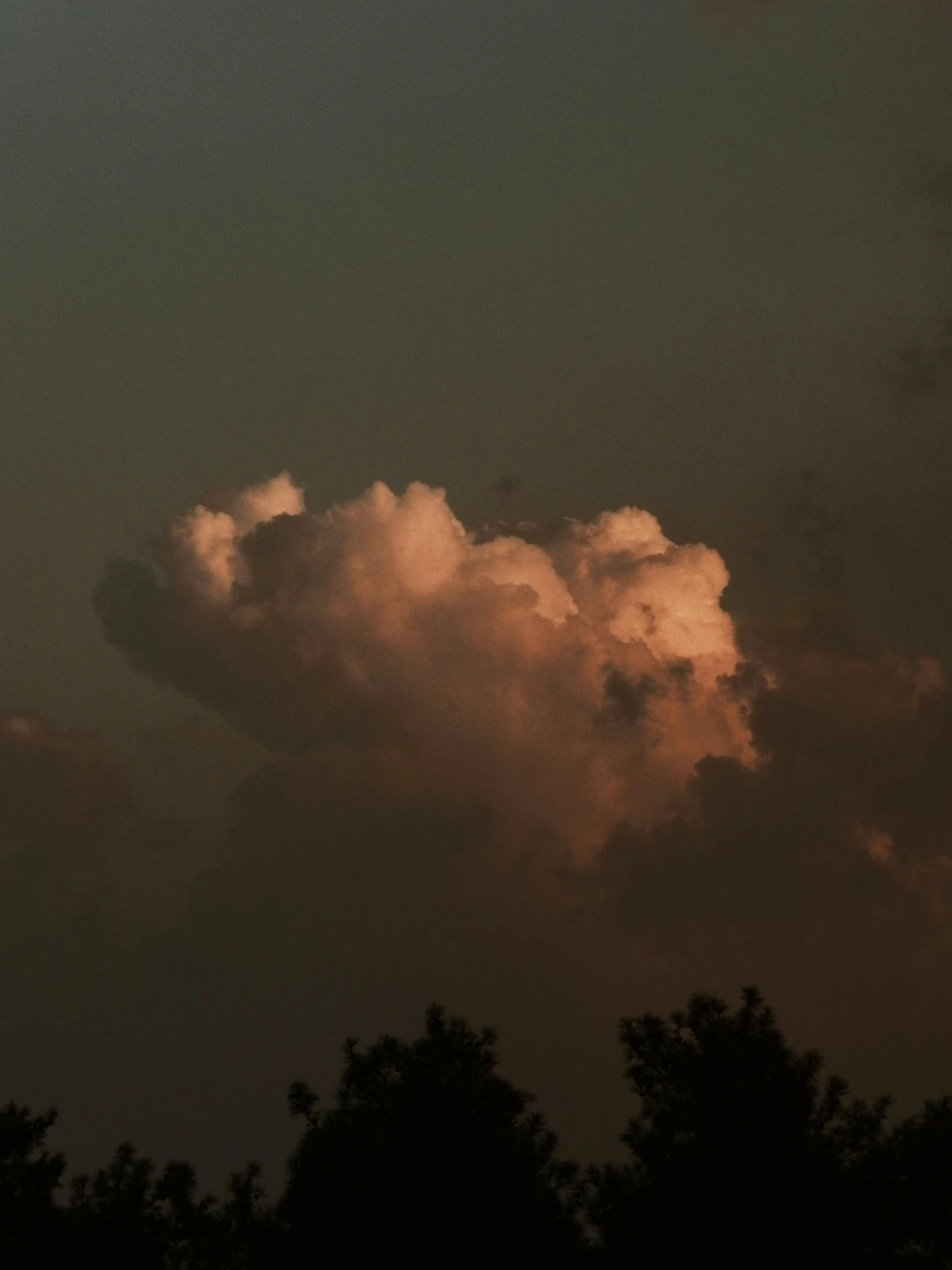 some trees and a plane in the sky with clouds