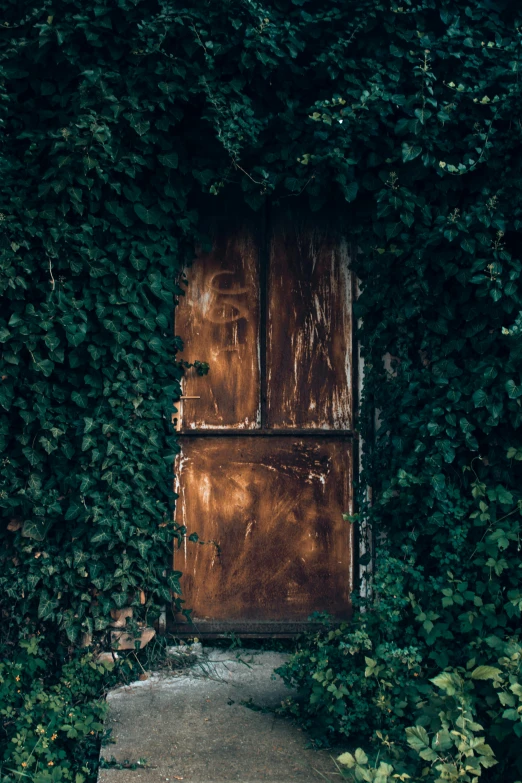 a door surrounded by greenery is seen from the outside