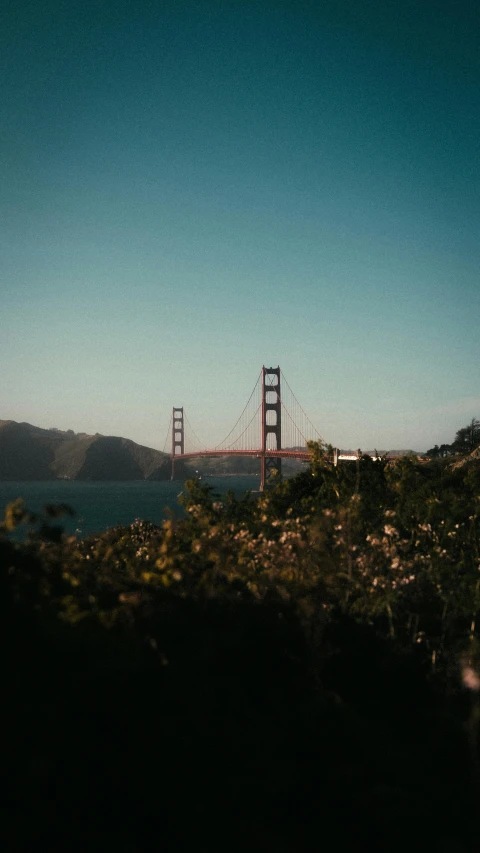 a view from the ground to a body of water near a bridge