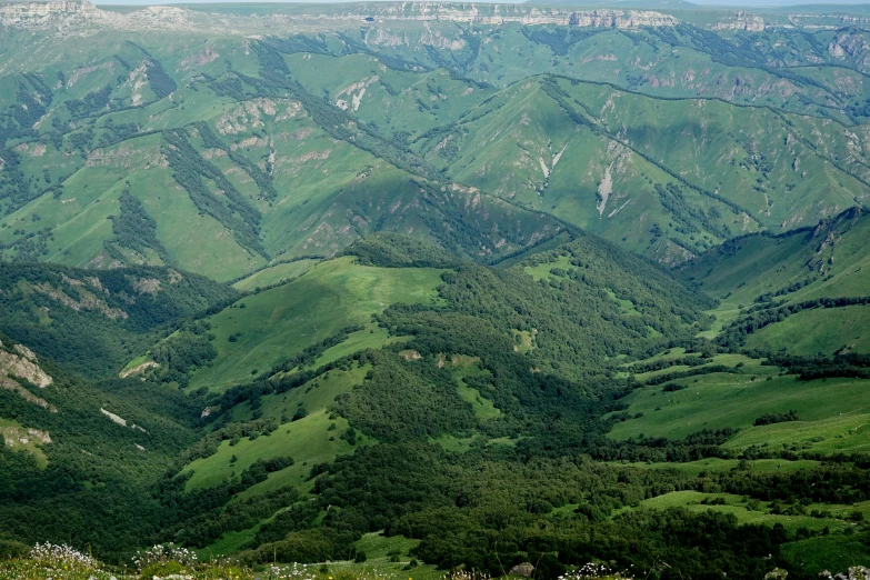 a lush valley is surrounded by green mountains