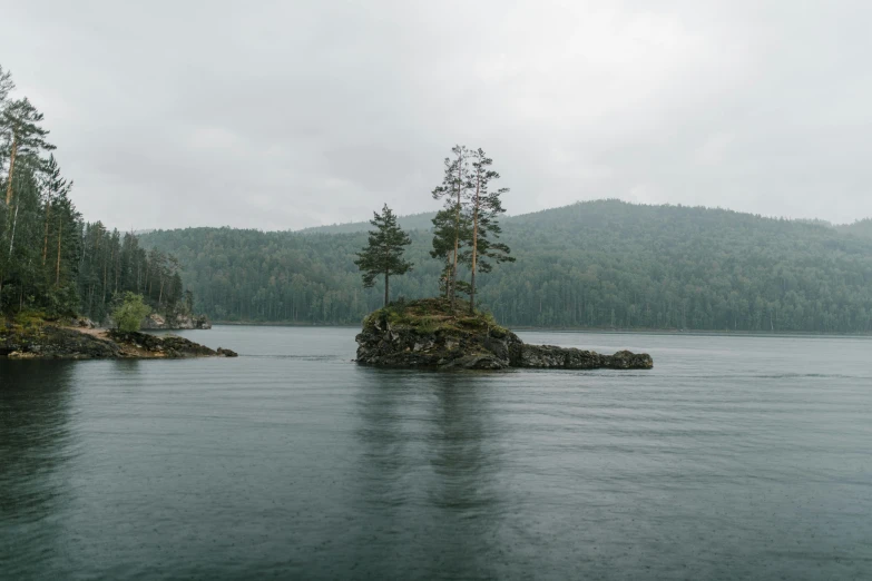 an island that has several trees on it