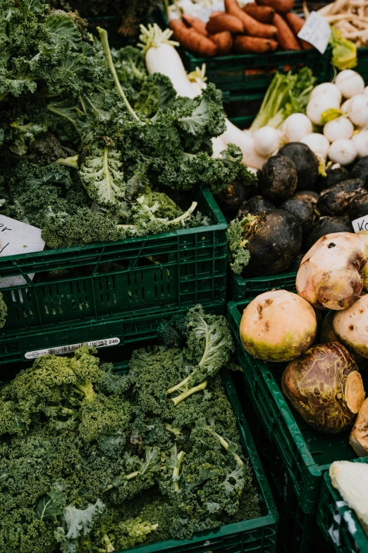 various vegetables and fruits for sale at the market