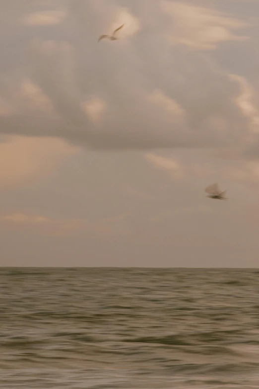 a bird flies by two smaller birds in the sky over the water