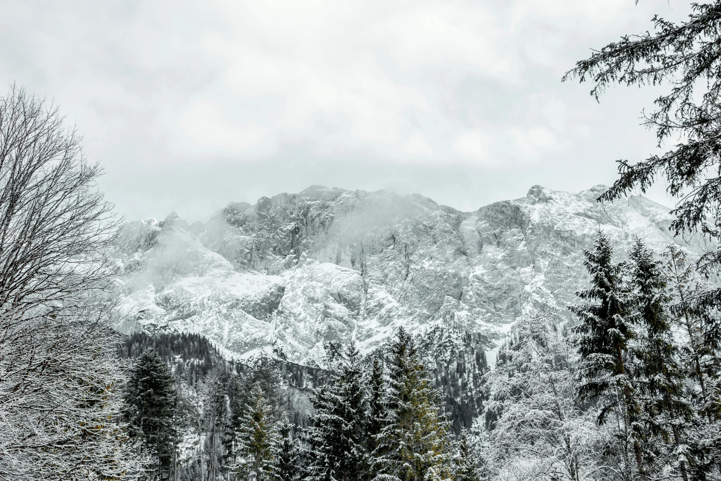 a snow covered mountain is pictured in the distance