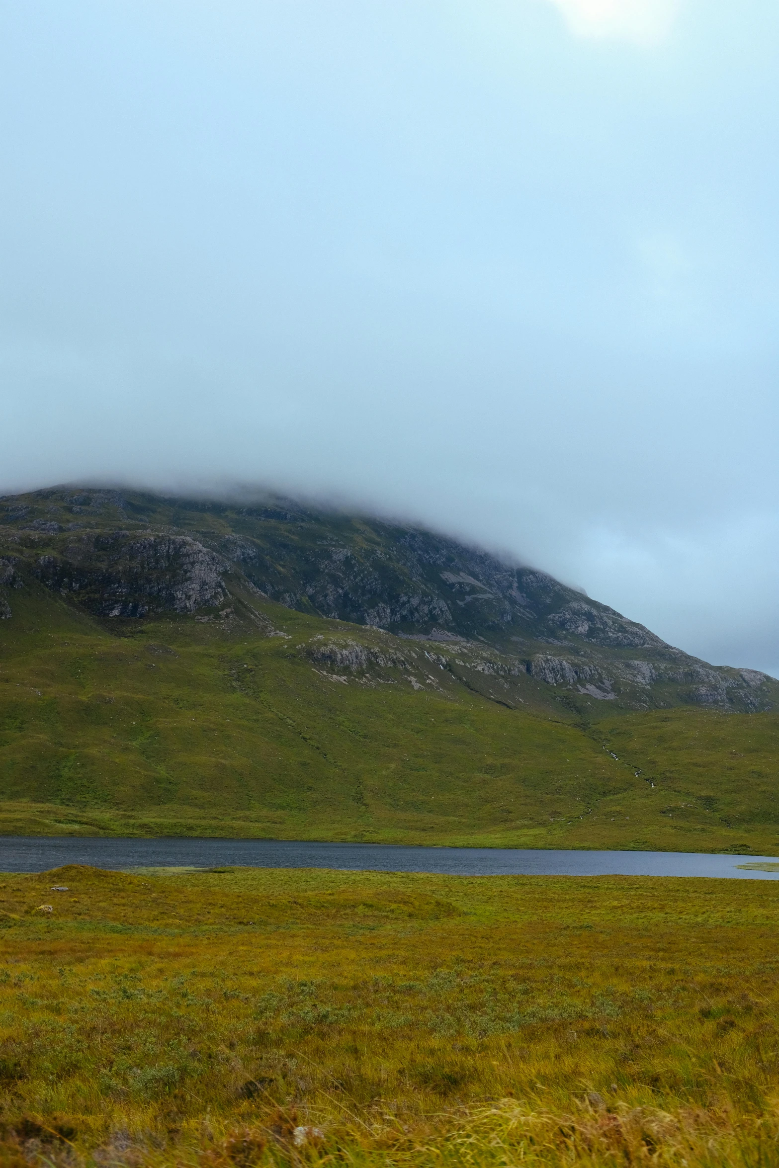 a lush green field on the side of a mountain