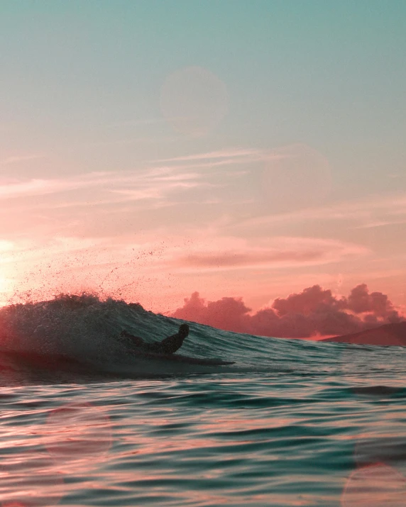 surfer on his surfboard at sunset riding a big wave