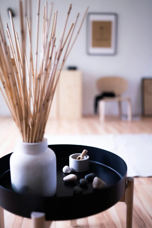 an arrangement of rocks sits in the middle of a living room