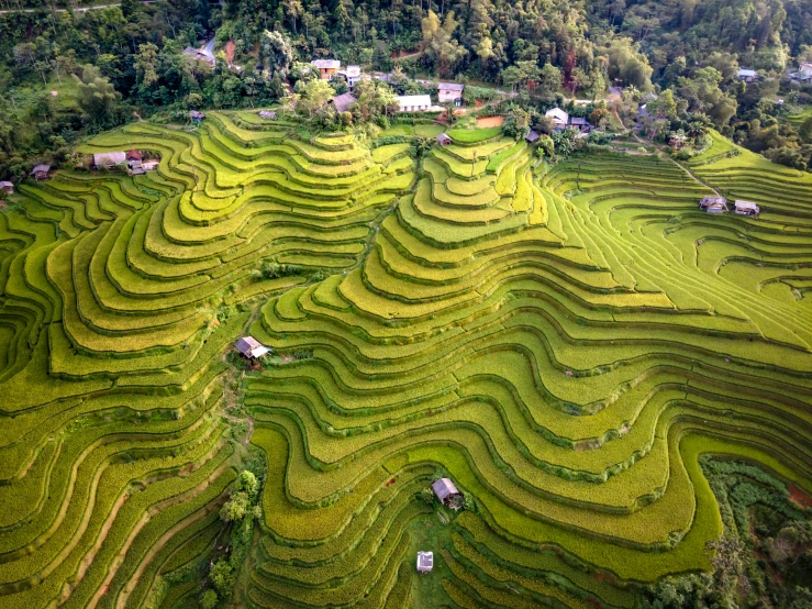 an aerial view of the terraced rice terraces on the island of inle lake