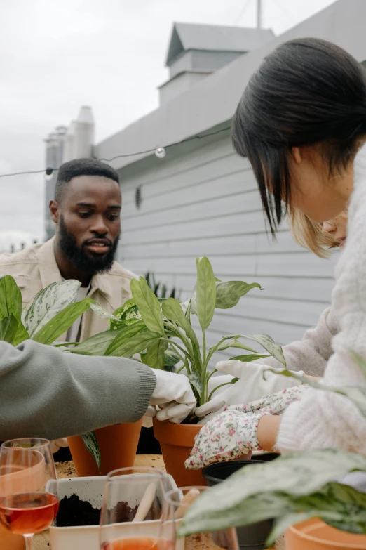 some people that are pouring liquid on some plants