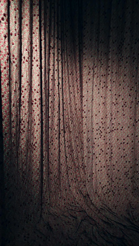 a dark po of a curtain with red flowers on it