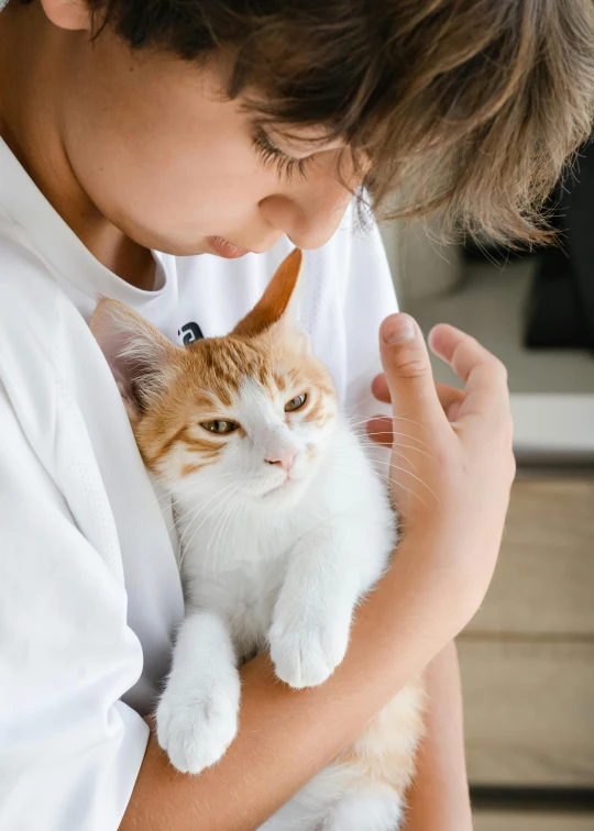 a person is holding a cat that is wearing a dragon head