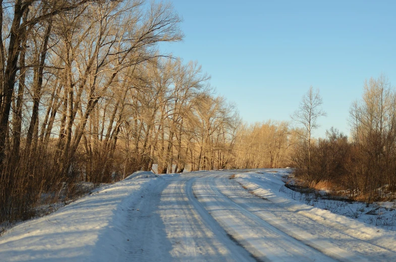 a rural snowy road on a sunny day