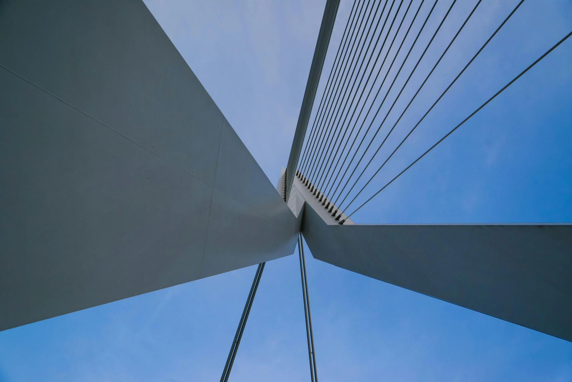 an overhead s of a bridge with cables running overhead