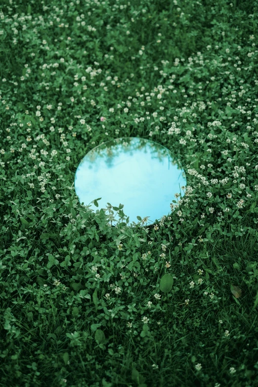 a patch of grass with a little blue sky in the center