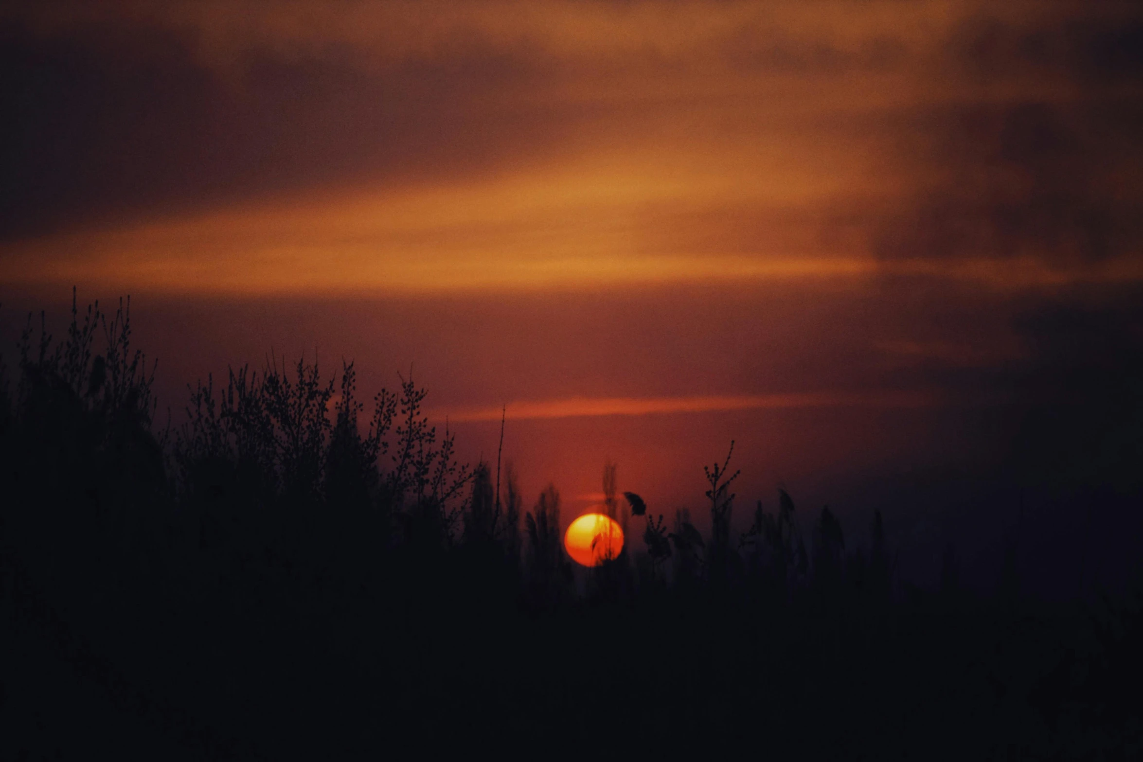 a sunset and some trees in the distance