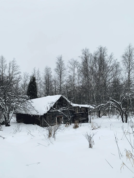 a cabin and several trees in the snow