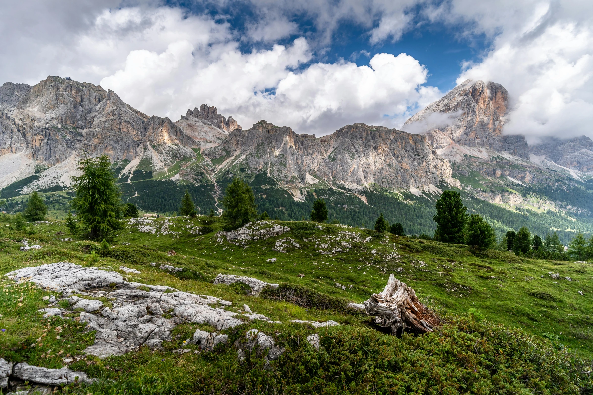 mountains and trees, with some clouds in the sky