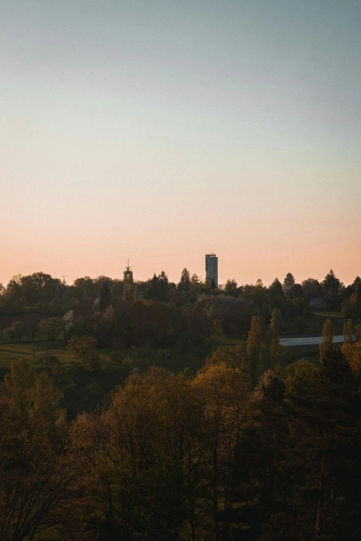 a small airplane flying over a city with trees on either side