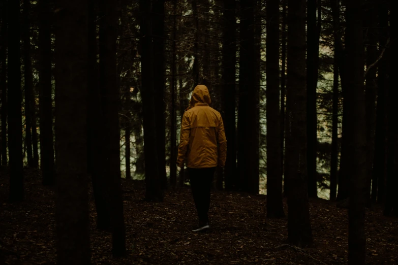 a person standing in a wooded area, with some trees