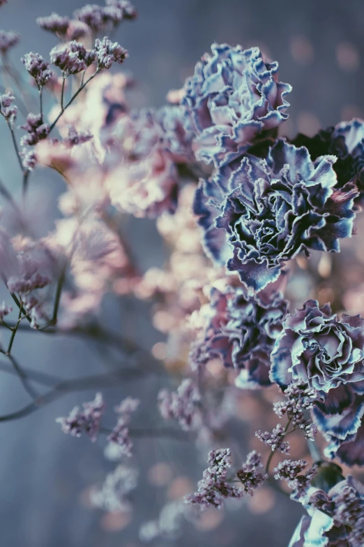 blue and purple flowers on a blue background