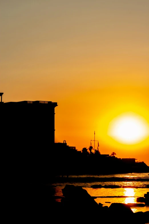 there are several birds sitting in the sunset by the water