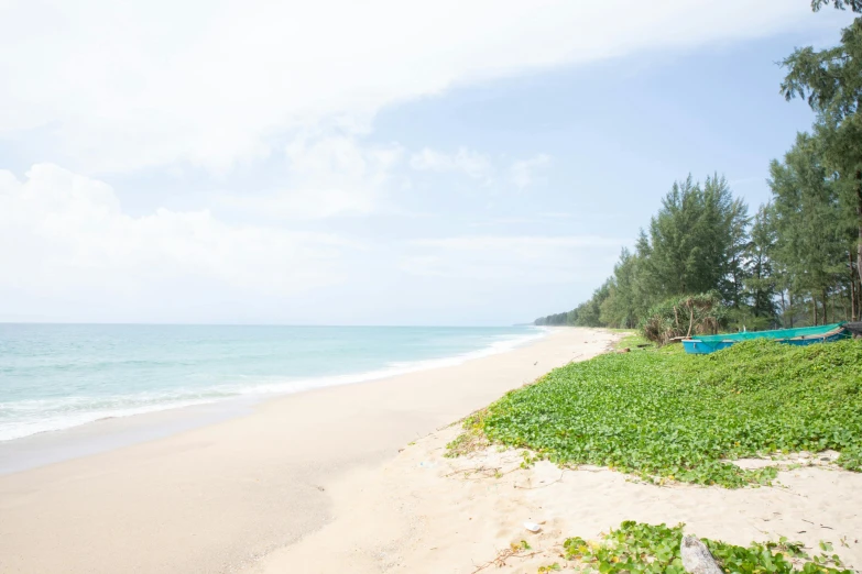 a sandy beach next to the ocean with trees and boats