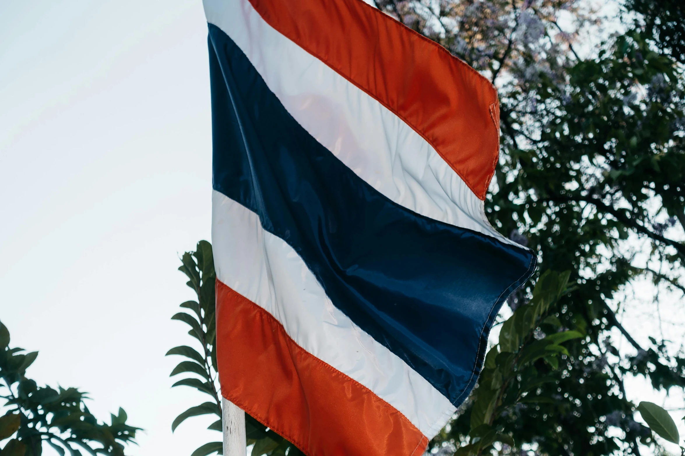 a thailand flag blowing in the wind with green leaves behind