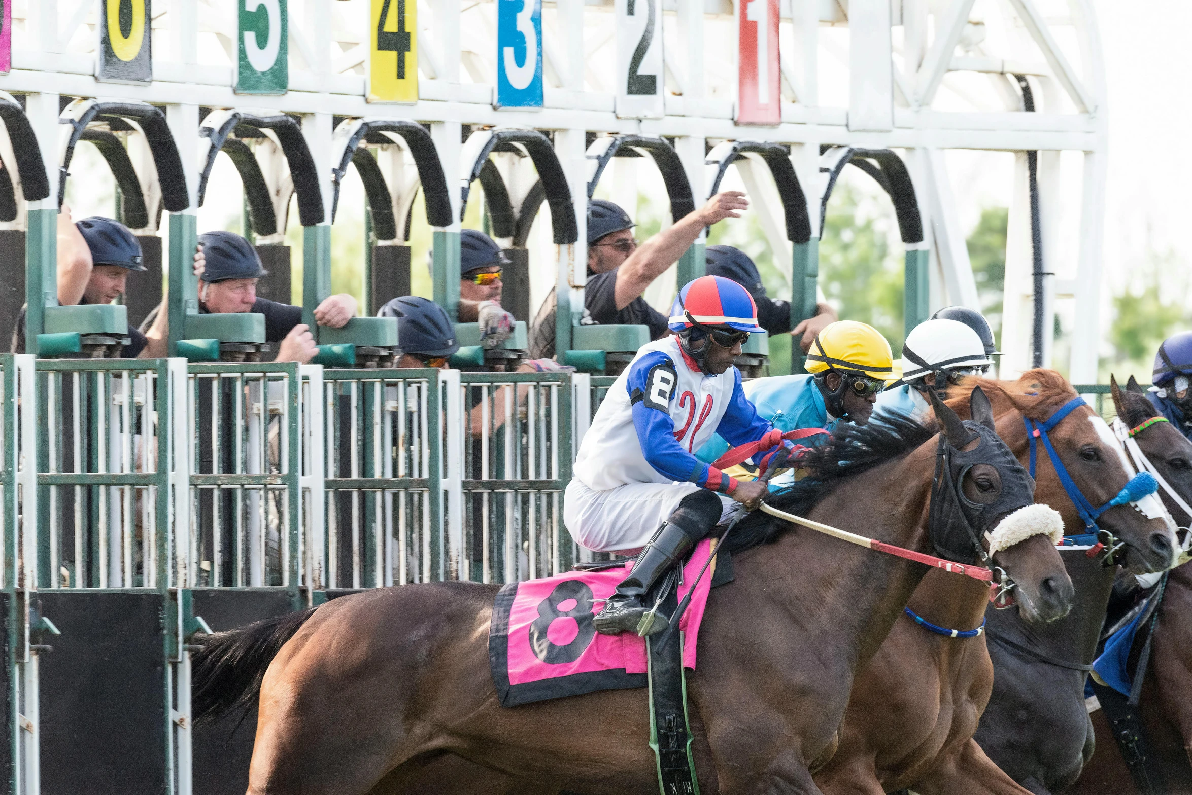 three jockeys ride horses at the starting line