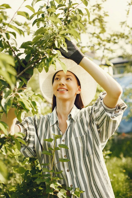 young woman picking leaves from a tree