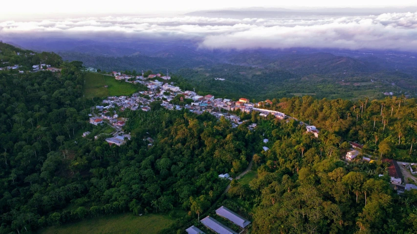 an aerial view of a resort nestled among trees