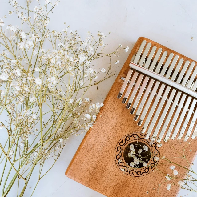 a bunch of small white flowers next to a musical instrument