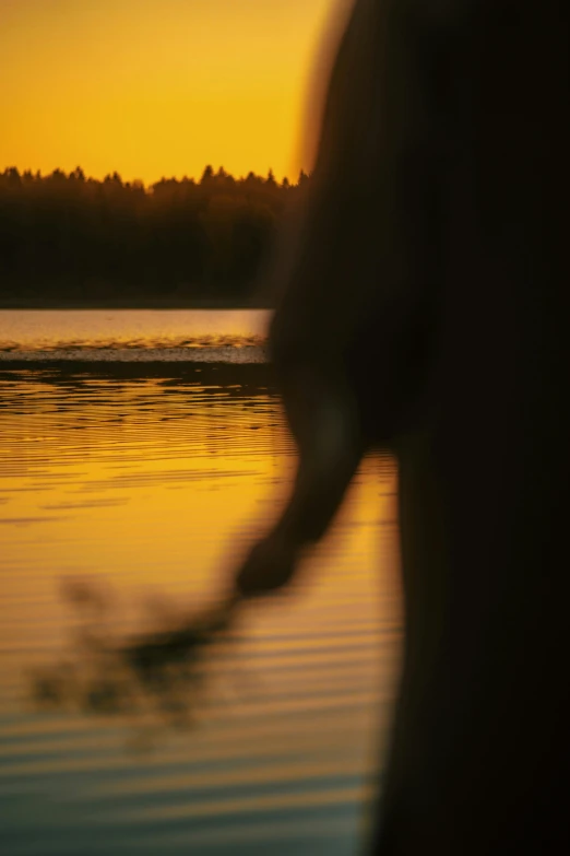 the view of the water from the shore line