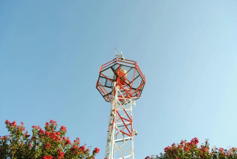 an old fashioned metal windmill sits in a field of red flowers