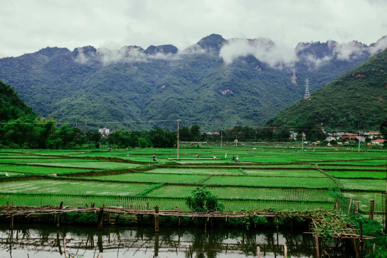 an area that has some grass on it