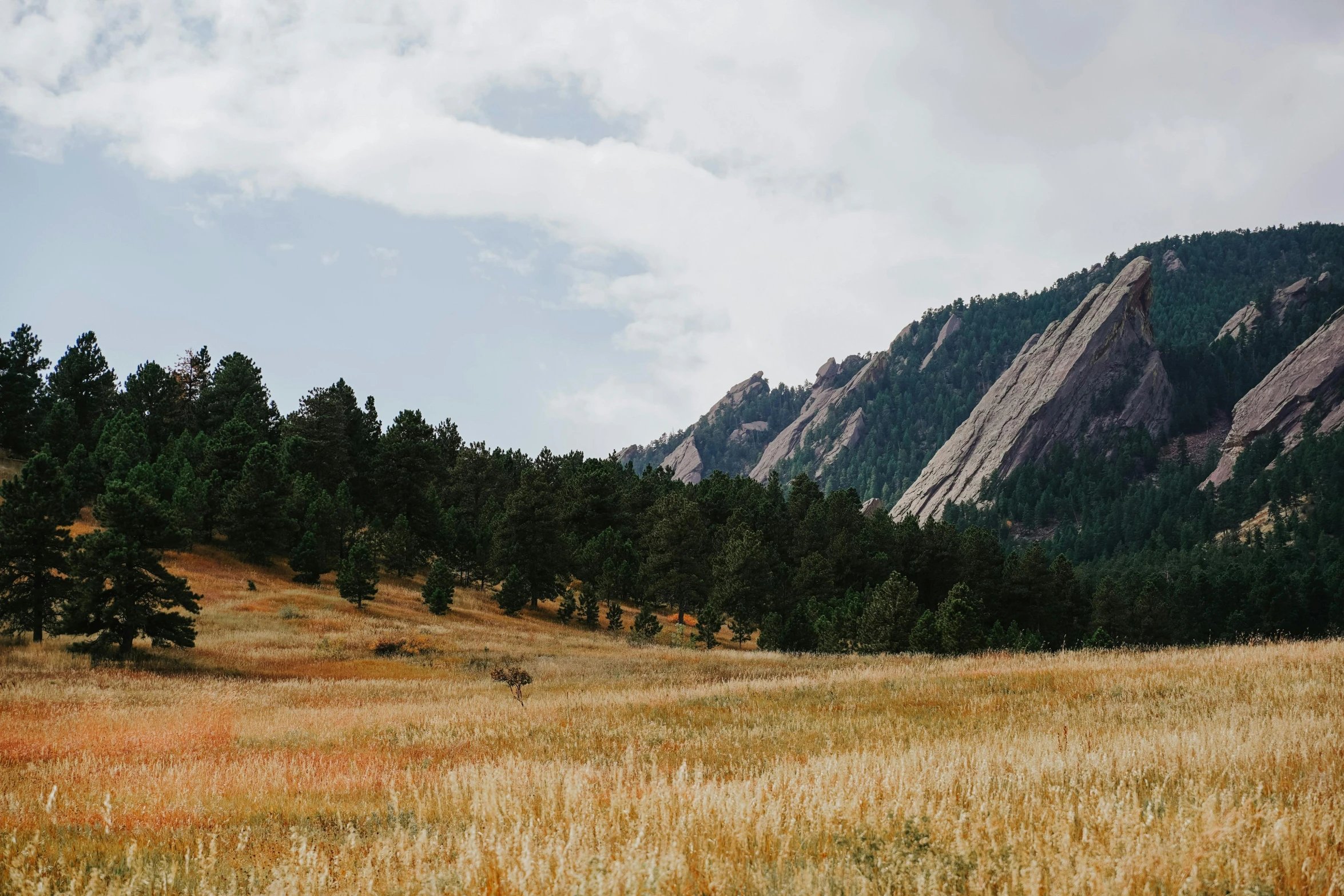 the landscape is dotted with a mountain range