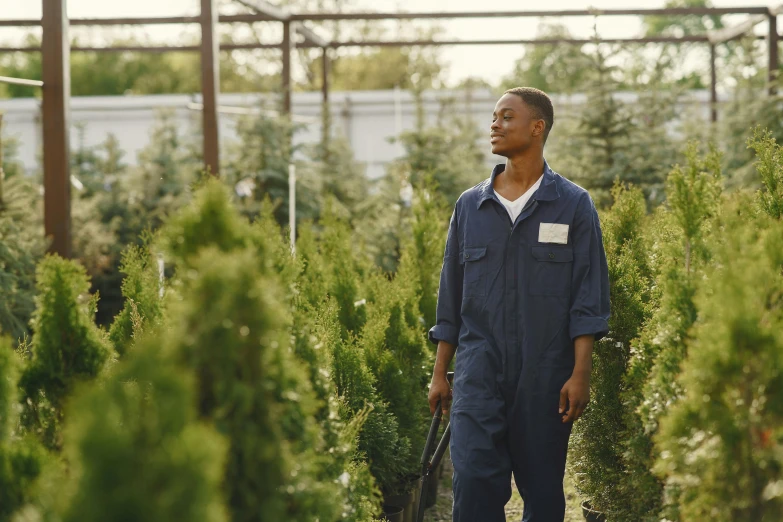 a man stands in an area of tall plants