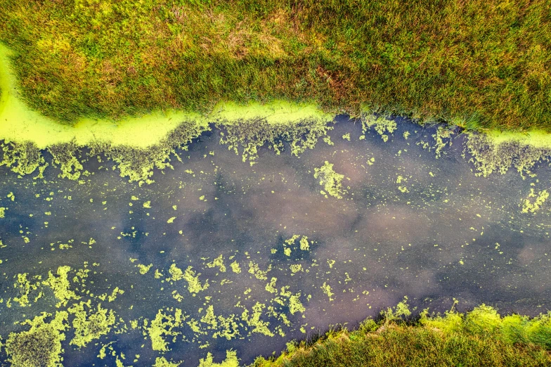 a large pond with grass and water around it