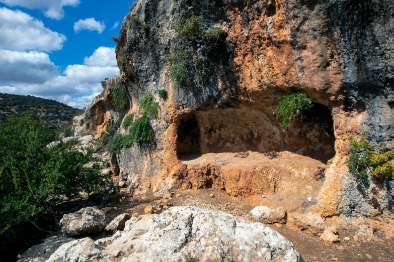 a close up view of a rocky cliff area with trees